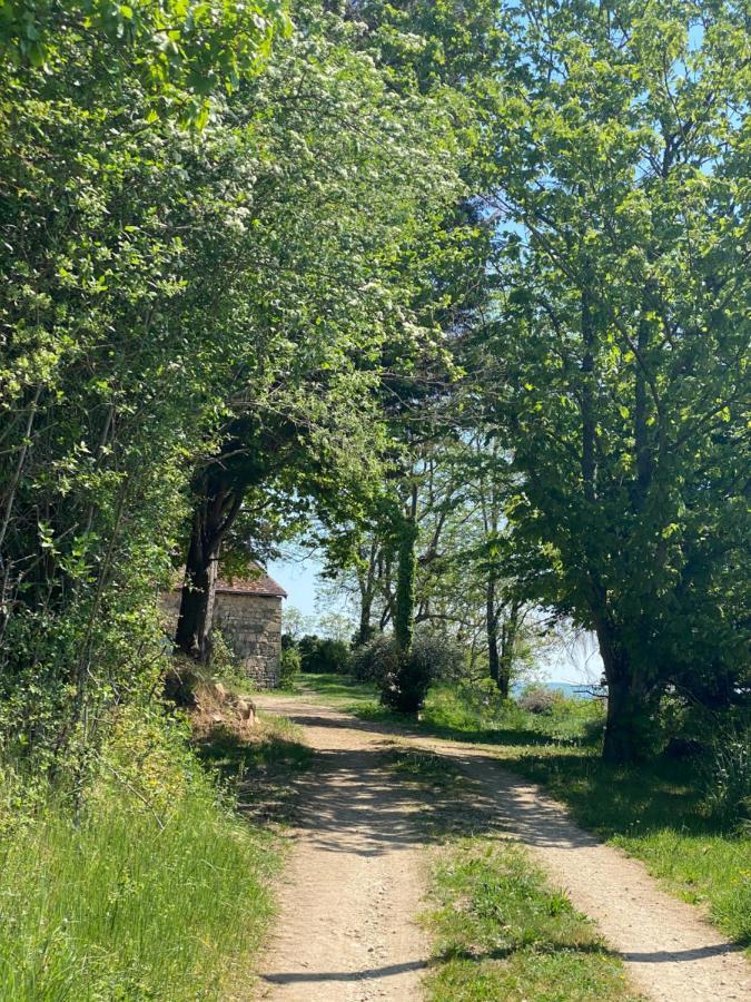 Gite De La Doit, En Pleine Campagne, Pour 14 Pers Saint-Marcelin-de-Cray Exteriér fotografie